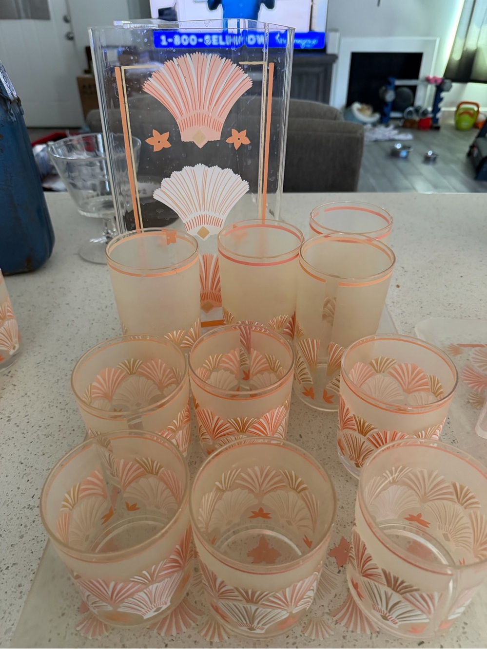 Peach Art Deco 12 pc Frosted plastic Tumbler Set - Home Accents